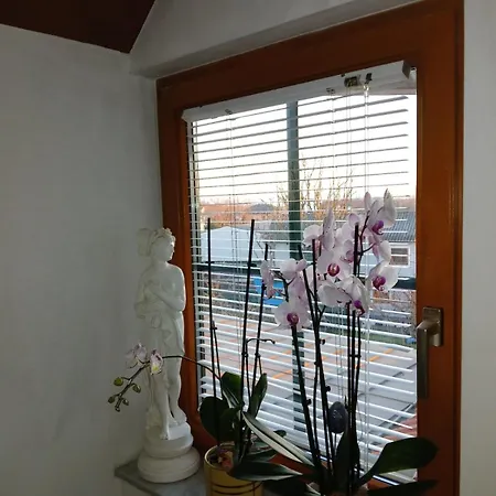 Shakira * Zistersdorf