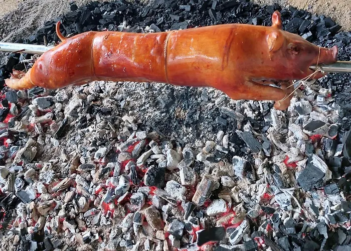 Shakira * Zissersdorf